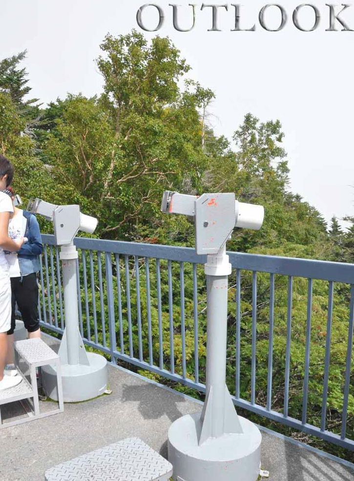 coin operated binoculars