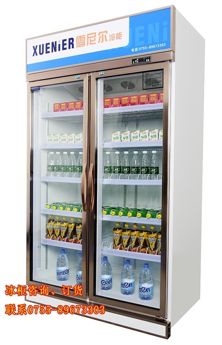 玫瑰金邊框兩門無霜風冷飲料櫃LC-1200FJ