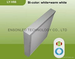 Bicolor LED Flat Panel Light