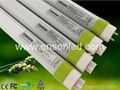 T8 LED Tube light-Frost 2