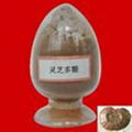 Ganoderma lucidum Polysaccharide 2