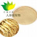 Ginseng Extract 