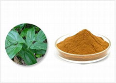 Epimedium extract