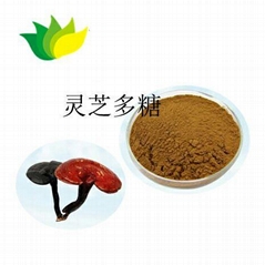 Ganoderma lucidum Polysaccharide