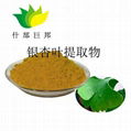 Ginkgo Biloba PE 1