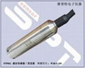 PTP601陶瓷压阻芯投入式液