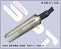 PTP601陶瓷壓阻芯投入式液位傳感器