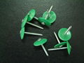 Plastic cap Ring Shank Nails 1