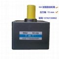 TWT永磁直流电机12SGU-100W-90V/5GU10KB 3