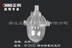 NFC9132防水防震氾光燈