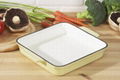 Enamel Square Cast Iron Roaster Pan