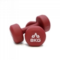 Rubber Dumbbells 8kg