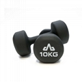 Rubber Dumbbells 10kg