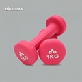 Rubber Dumbbells 1kg