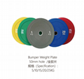 New Bumper Weight Plates