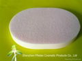 PVA facial cleaning sponge