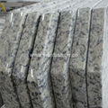 Granite Slab Kitchen Countertops & Bar Top - Granite Depot 2