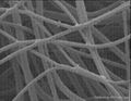 Polyester staple fiber Low melt fiber