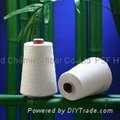 Recycle polyester staple fiber for