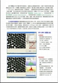 BVA-300 全自動錫球檢查機