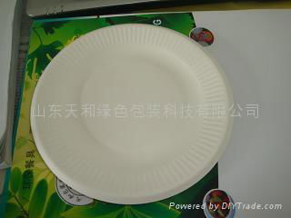  6 inch Plate