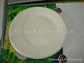  6 inch Plate