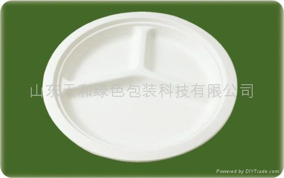 10 inch Three Compartments Plate