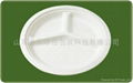 10 inch Three Compartments Plate 1