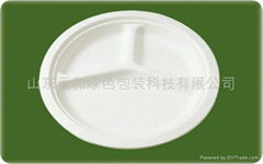 10 inch Three Compartments Plate