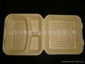 10 inch three Compartment box