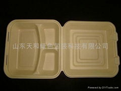  10 inch three Compartment box