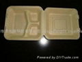  10 inch three Compartment box 3