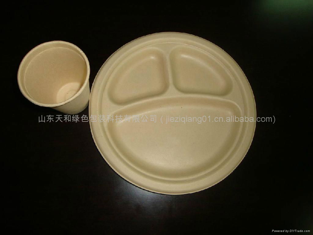 10 inch Three Compartments Plate 3