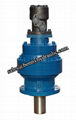 Bonfiglioil 300 planetary gearbox