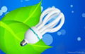 lotus energy saving lamp 4