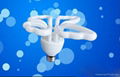 butterfly energy saving lamp