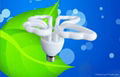 butterfly energy saving lamp