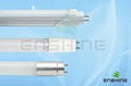 LED T8 tube