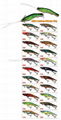 hard plastic lures,shrimp 2