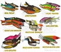 Hard Baits.Crankbaits.Topwater Baits.Stick Baits.Lipless Baits. 1