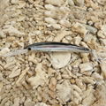 塑料仿生鱼饵Crystal Minnow Holographic Deep Diver (2) 2