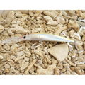 塑料仿生鱼饵Crystal Minnow Holographic Deep Diver (2) 3