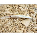 Crystal Minnow Holographic Deep Diver 3
