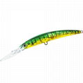 Crystal 3D Minnow 1