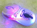 Real Scorpion Insect Amber Optical Computer Mouse For Gift 3