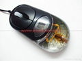 Real Scorpion Insect Amber Optical Computer Mouse For Gift 4