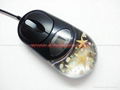 Real starfish Amber Optical Computer Mouse For priemium gift business gift  2