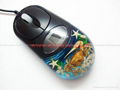 Real starfish Amber Optical Computer Mouse For priemium gift business gift  5