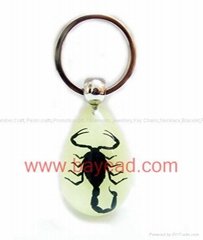 蝎子王昆虫琥珀钥匙扣 不变形不变质饰品 