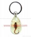 Scorpion insect amber keychains promotion gifts priemium gift 2